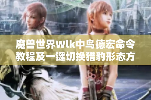 魔兽世界Wlk中鸟德宏命令教程及一键切换猎豹形态方法