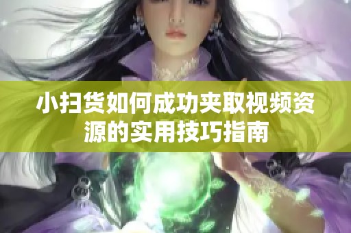 小扫货如何成功夹取视频资源的实用技巧指南