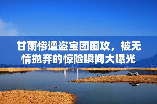 甘雨惨遭盗宝团围攻，被无情抛弃的惊险瞬间大曝光