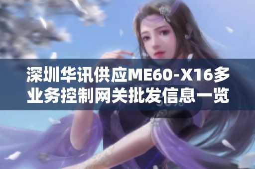 深圳华讯供应ME60-X16多业务控制网关批发信息一览