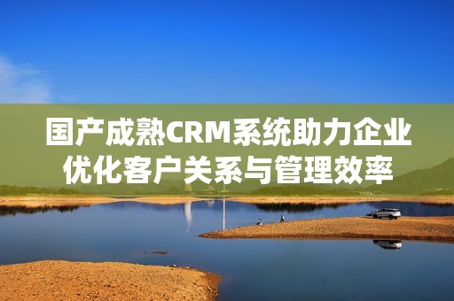 国产成熟CRM系统助力企业优化客户关系与管理效率