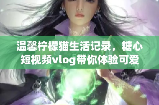 温馨柠檬猫生活记录，糖心短视频vlog带你体验可爱日常