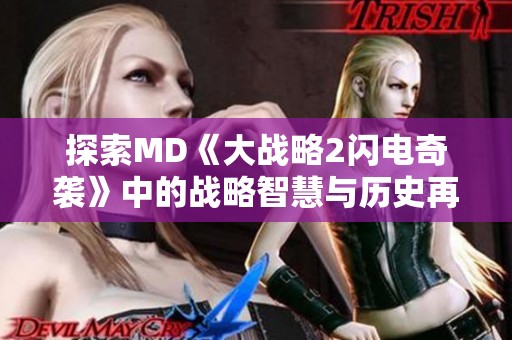 探索MD《大战略2闪电奇袭》中的战略智慧与历史再现之路