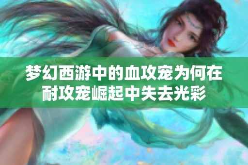 梦幻西游中的血攻宠为何在耐攻宠崛起中失去光彩