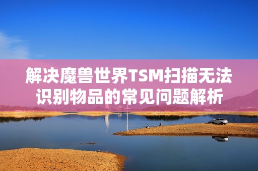 解决魔兽世界TSM扫描无法识别物品的常见问题解析