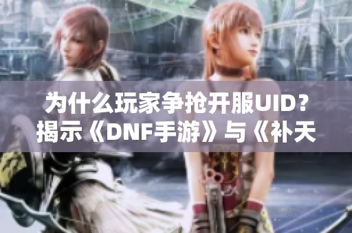 为什么玩家争抢开服UID？揭示《DNF手游》与《补天志》的背后秘密