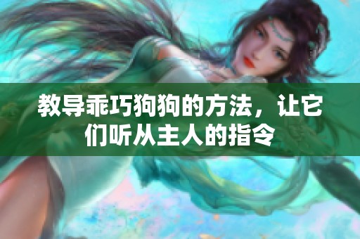 教导乖巧狗狗的方法，让它们听从主人的指令