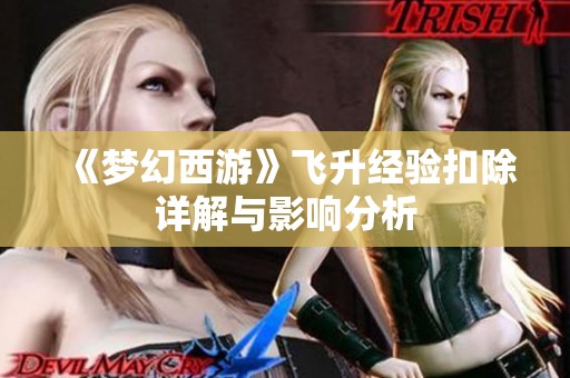 《梦幻西游》飞升经验扣除详解与影响分析