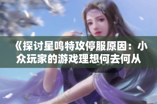 《探讨星鸣特攻停服原因：小众玩家的游戏理想何去何从》