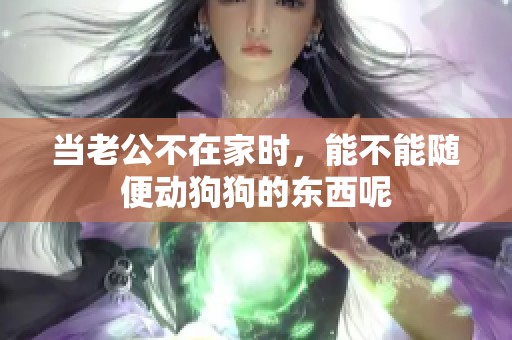 当老公不在家时，能不能随便动狗狗的东西呢