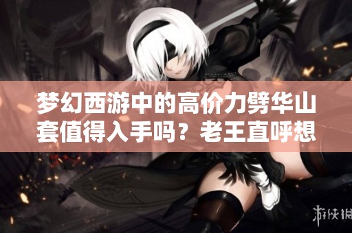 梦幻西游中的高价力劈华山套值得入手吗？老王直呼想要！