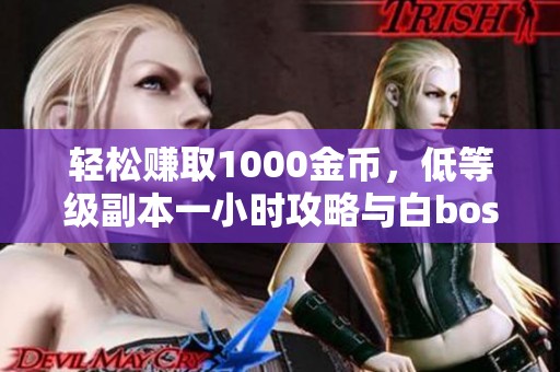 轻松赚取1000金币，低等级副本一小时攻略与白boss分享