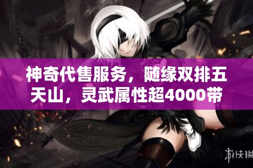 神奇代售服务，随缘双排五天山，灵武属性超4000带您飞