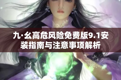 九·幺高危风险免费版9.1安装指南与注意事项解析