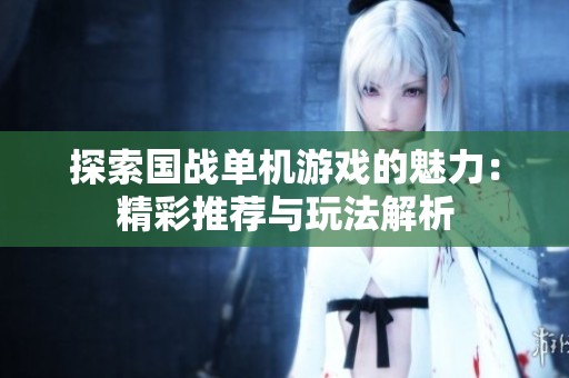 探索国战单机游戏的魅力：精彩推荐与玩法解析