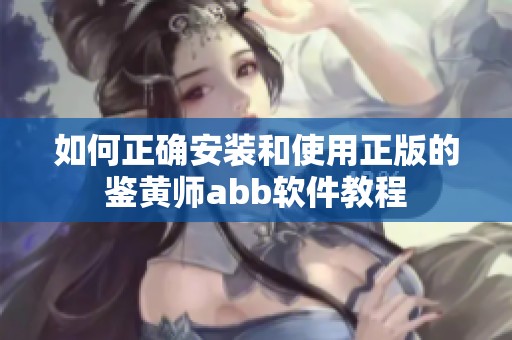 如何正确安装和使用正版的鉴黄师abb软件教程