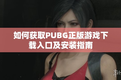 如何获取PUBG正版游戏下载入口及安装指南