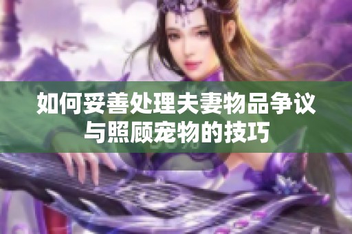 如何妥善处理夫妻物品争议与照顾宠物的技巧