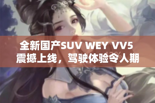 全新国产SUV WEY VV5 震撼上线，驾驶体验令人期待