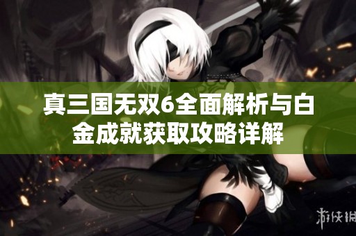 真三国无双6全面解析与白金成就获取攻略详解