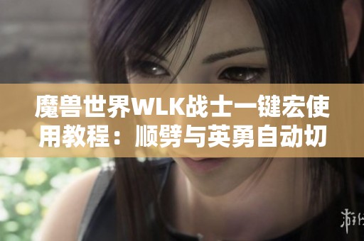 魔兽世界WLK战士一键宏使用教程：顺劈与英勇自动切换武器技巧解析