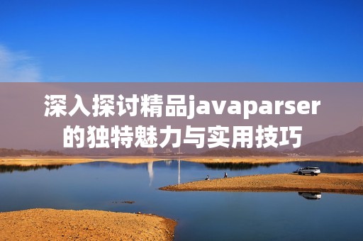 深入探讨精品javaparser的独特魅力与实用技巧