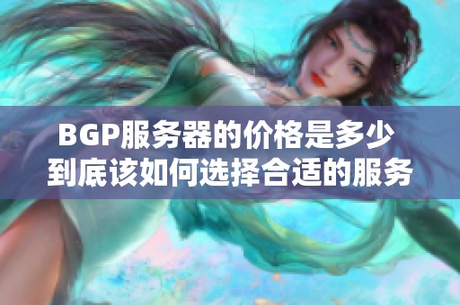 BGP服务器的价格是多少 到底该如何选择合适的服务商